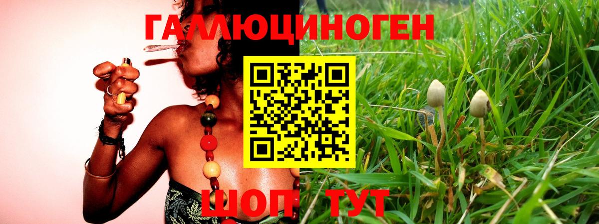 Галлюциногенные грибы MAGIC MUSHROOMS  Вход с VPN  Вольск 
