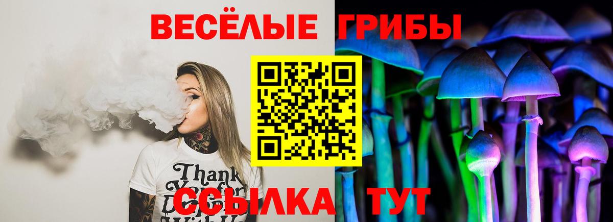 Галлюциногенные грибы прущие грибы Вольск